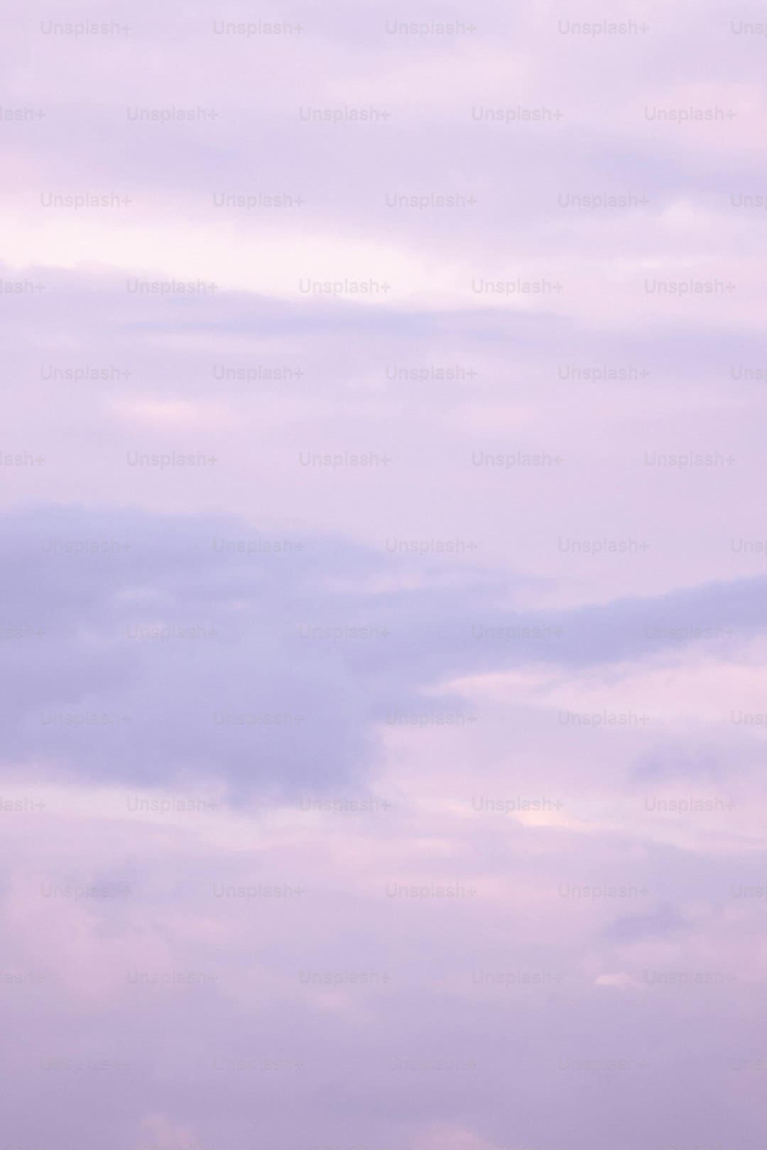 鲁豫给张子枫买衣服 交心行为温暖人心